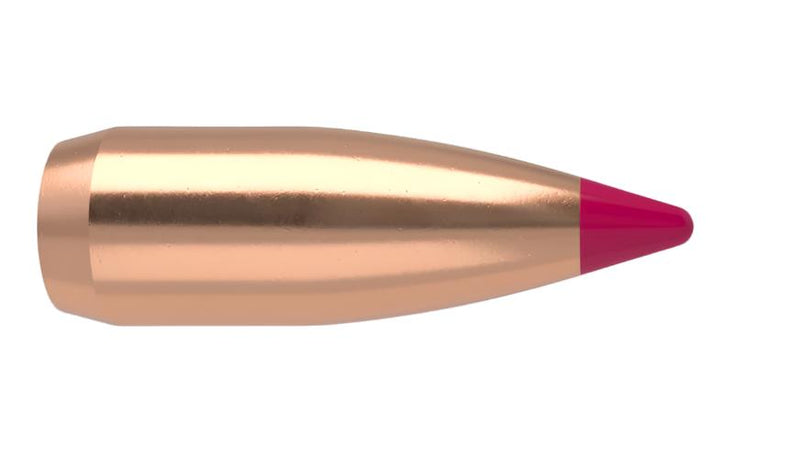 204 CAILBER 32gr BALLISTIC TIP VARMINT