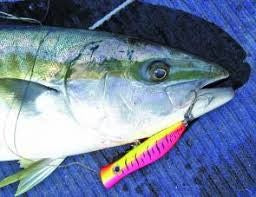 ROOSTA POPPER