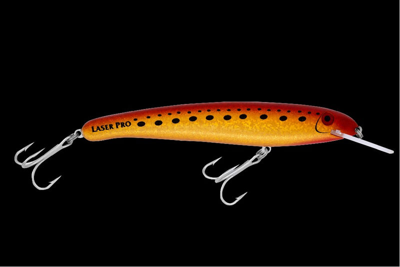 LASER PRO 190-DD