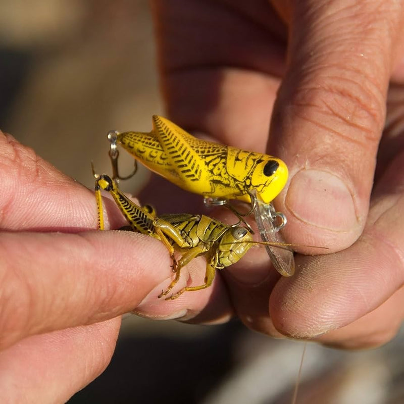 CRICKHOPPER