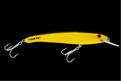 LASER PRO 190-XDD