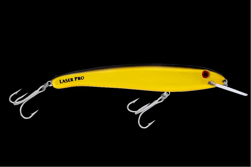 LASER PRO 190-XDD