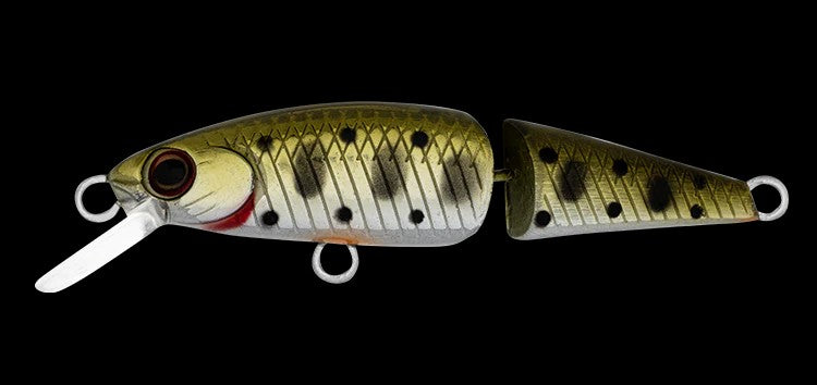 DR. MINNOW II JOINT 42