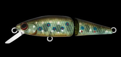 DR. MINNOW II JOINT 50