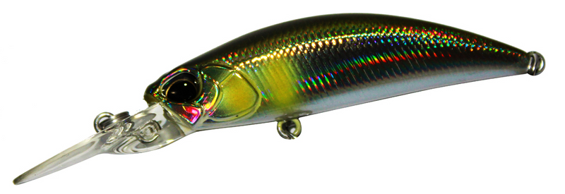 AYU 50