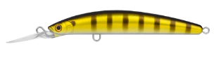 BANDED PERCH DOUBLE CLUTCH