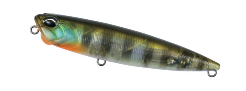 GHOST GILL PENCIL