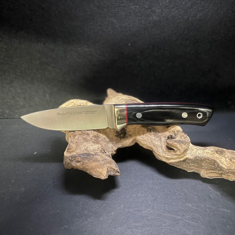 KODIAK10MIMG_3554
