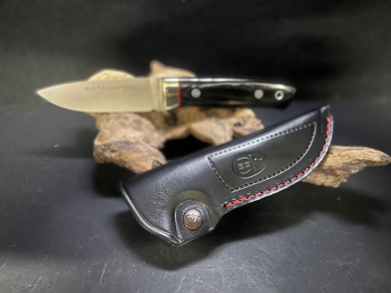 KODIAK10MIMG_3555