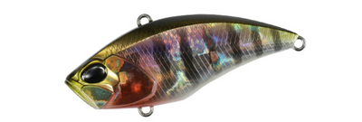 PRISM GILL VIBE