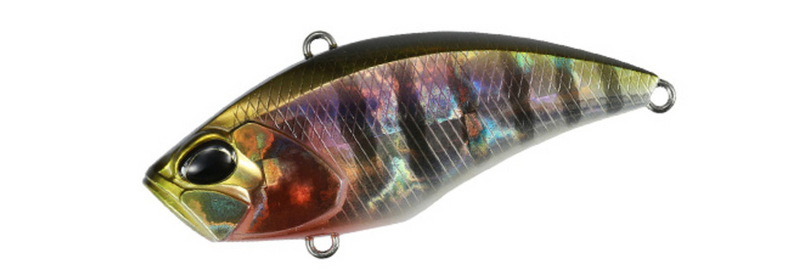PRISM GILL VIBE