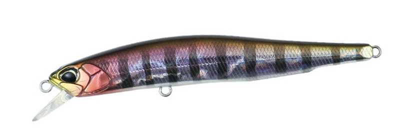 REALIS PRISM GILL