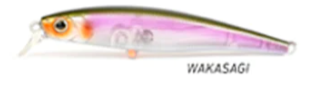 prolure wagasaki