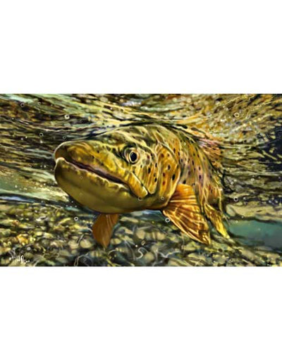 trout-outdoor-mat_WEB