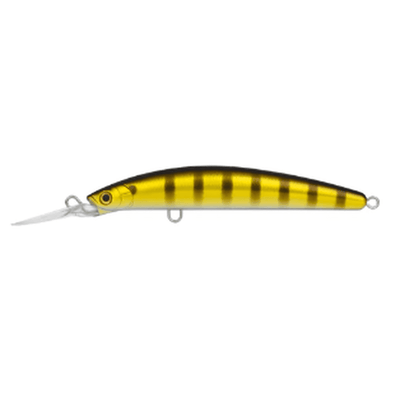 BANDED PERCH DOUBLE CLUTCH